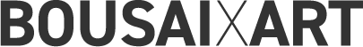 BOUSAIXART